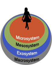 Ecological Theory Graph