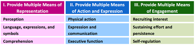 I. Provide Multiple Means of Representation Perception Language, expression, and symbols Comprehension  II. Provide Multiple Means of Action and Expression Physical action Expression and communication Executive function  III. Provide Multiple Means of Engagement Recruiting interest Sustaining effort and persistence Self-regulation