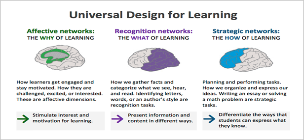 Title: Universal Design for Learning - Description: Affective networks: THE WHY OF LEARNING Graphic of the human brain with the affective network highlighted in green. How learners get engaged and stay motivated. How they are challenged, excited, or interested. These are affective dimensions. Green arrow points to: Stimulate interest and motivation for learning.   Recognition networks: THE WHAT OF LEARNING Graphic of the human brain with the recognition network highlighted in purple How we gather facts and categorize what we see, hear, and read. Identifying letters, words, or an author’s style are recognition tasks. Purple arrow points to: Present information and content in different ways.  Strategic networks: THE HOW OF LEARNING Graphic of the human brain with the strategic network highlighted in blue Planning and performing tasks. How we organize and express our ideas. Writing an essay or solving a math problem are strategic tasks. Blue arrow points to: Differentiate the ways that students can express what they know. 